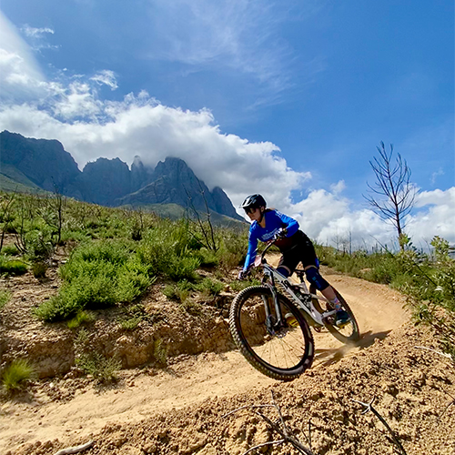 Stellenbosch
